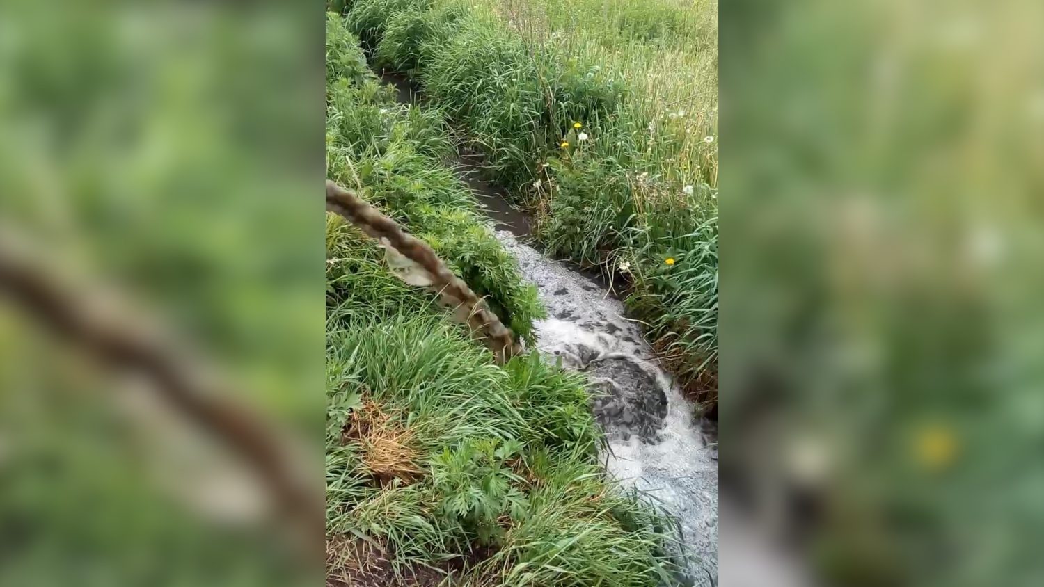 Зловонную жижу сливают в поля Красноуфимск Онлайн