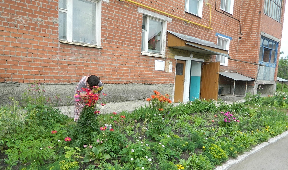 DSCN6619