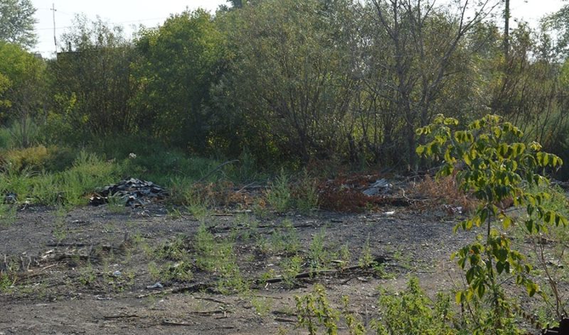 Заболоченное место теперь засыпано. "Здесь впору в футбол играть": - шутят работники молочного завода