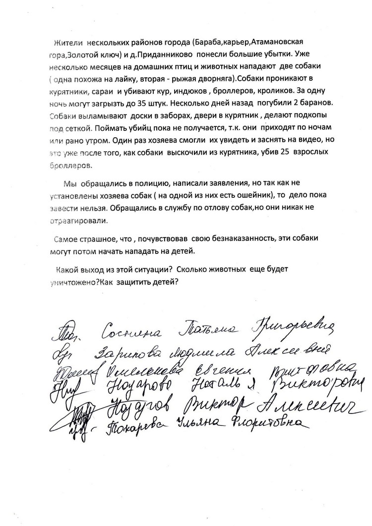 Собаки-убийцы: жители д. Приданниково несколько месяцев страдают от ночных  кровавых похождений двух безнадзорных собак Красноуфимск Онлайн