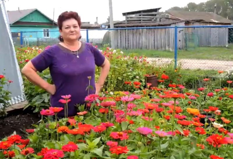 Погода в натальинске красноуфимского. Умелец Красноуфимск.