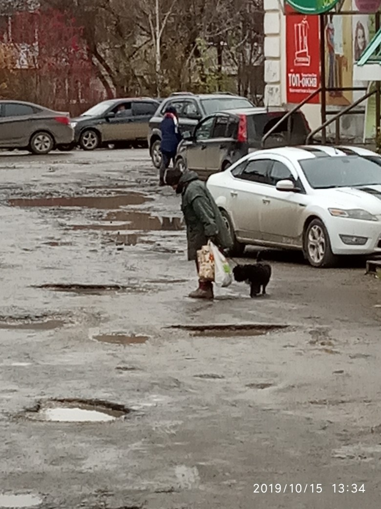 Судьба Венеры – красноуфимской «дамы с собачкой» Красноуфимск Онлайн