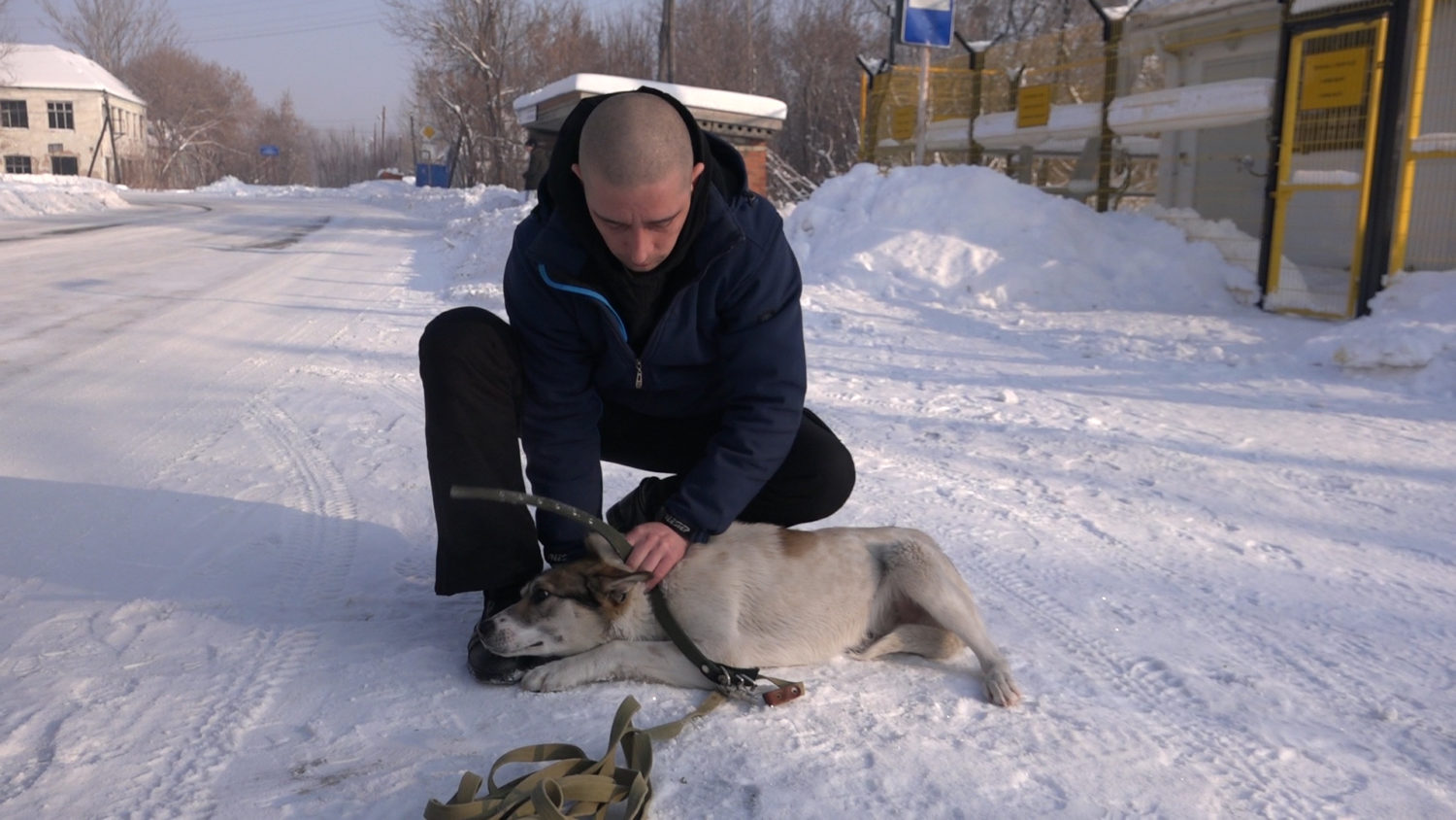 Отлов собак в Красноуфимске продолжается. Нужна передержка Красноуфимск  Онлайн