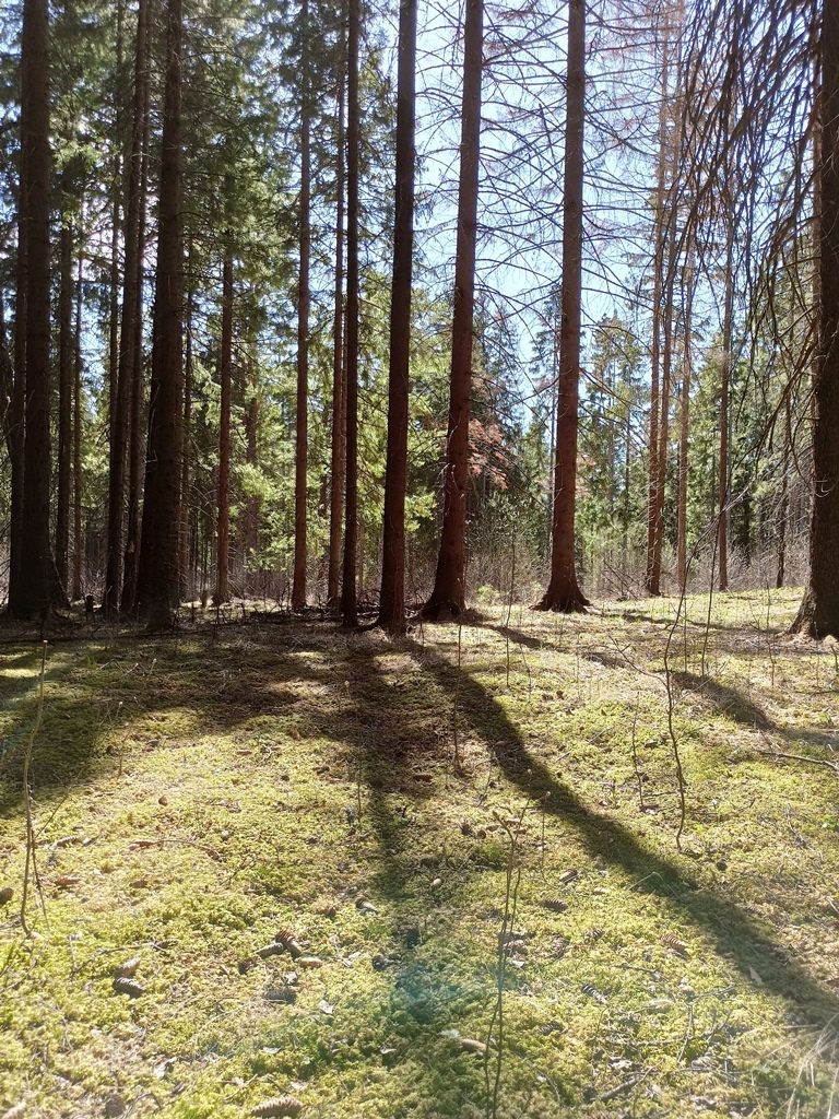 Ответственность за нарушение требований пожарной безопасности в лесах  Красноуфимск Онлайн