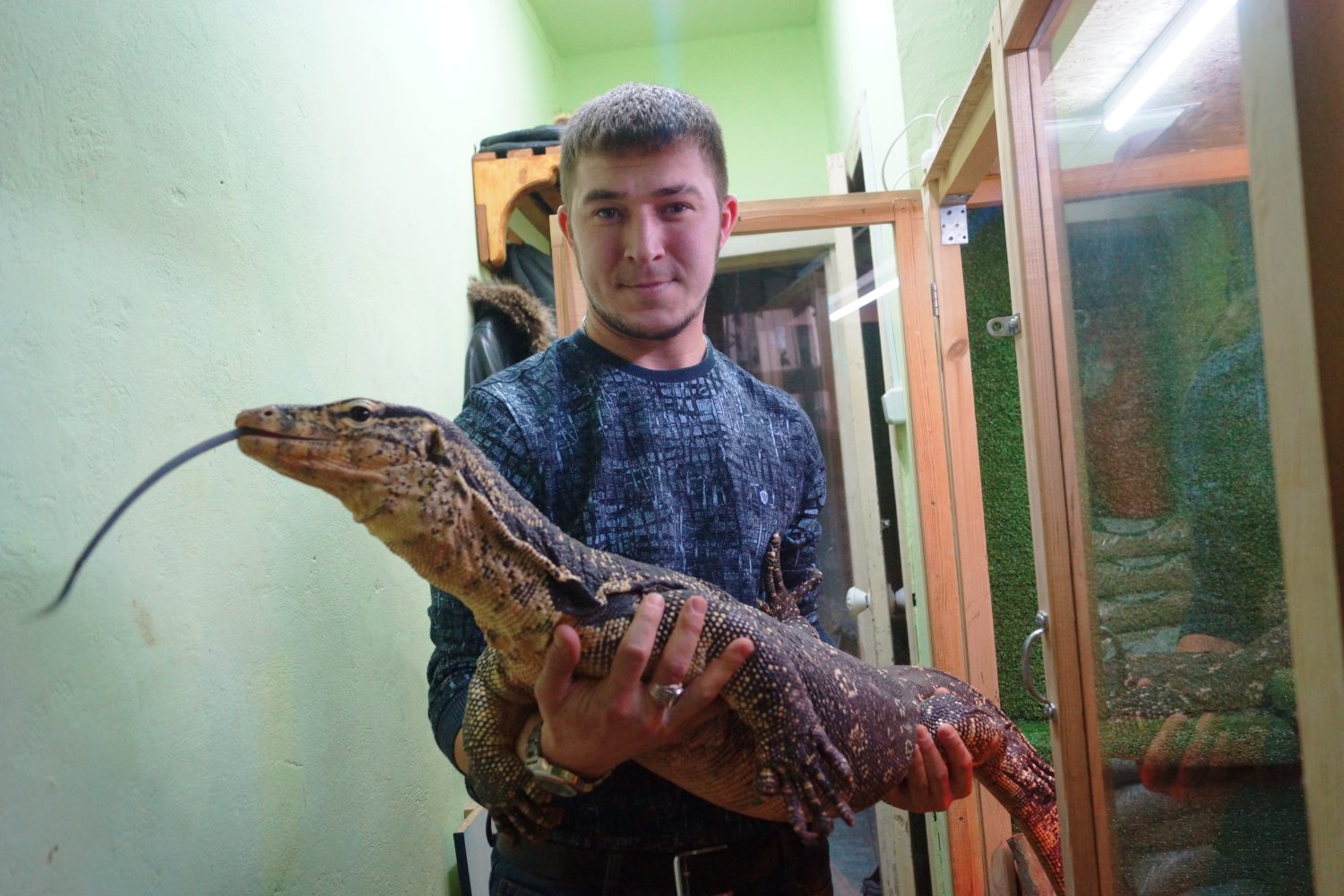 Живой уголок в «Игуане» может превратится в небольшой городской зоопарк  Красноуфимск Онлайн