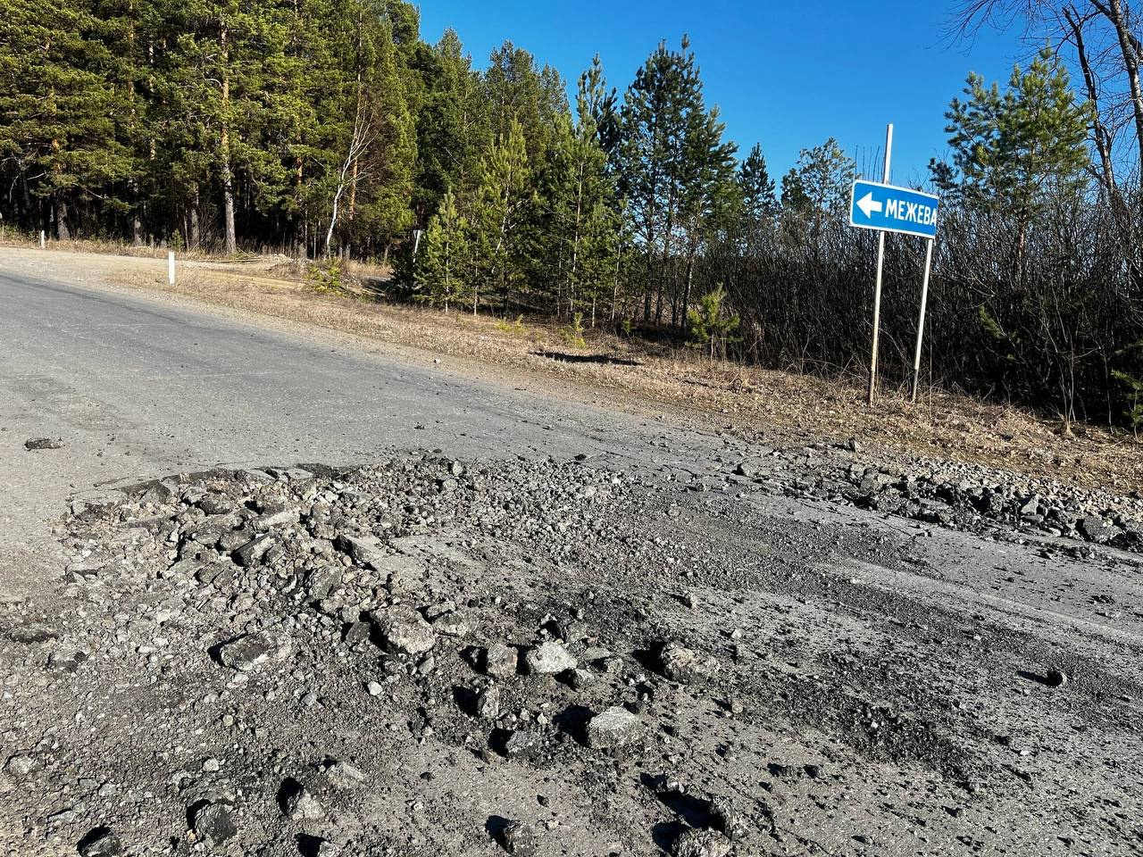 В Пермском крае в 10-й раз состоится чемпионат по метанию коровьих лепёшек