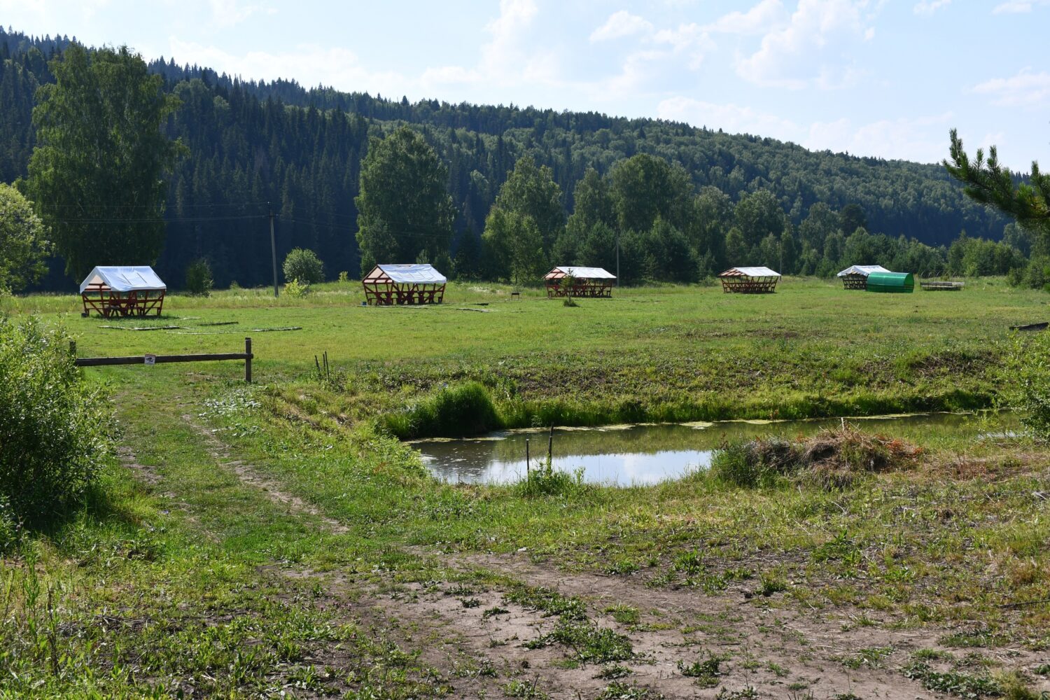 База лесного озера лесного озера Удмуртской турбаза