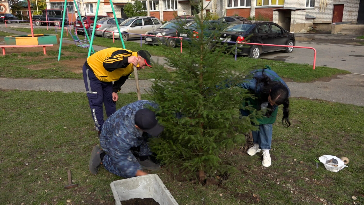 Теперь у жителей дома на Березовой, 3а и Горняка будут расти живые  новогодние елки Красноуфимск Онлайн