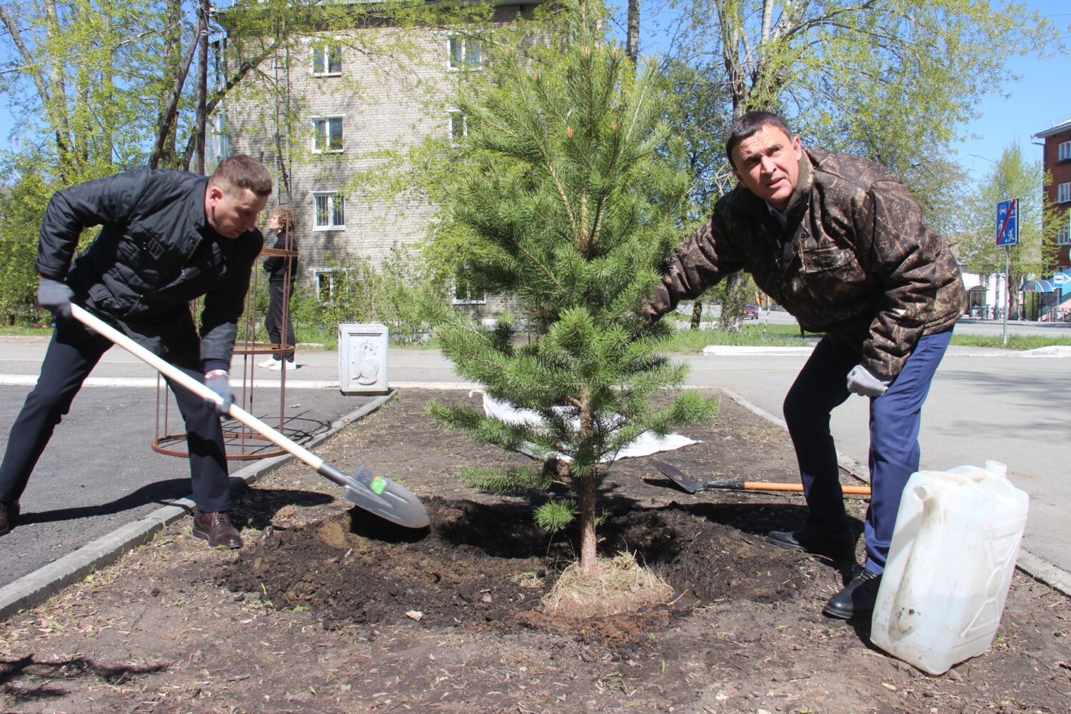 У «Космоса» посадили новое дерево взамен сломанного Красноуфимск Онлайн